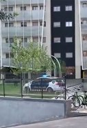 Mossos Patinet