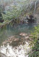 Clot Mare de Deu Burriana / Google Maps