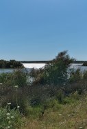 La Puebla del Río Sevilla / Wikimedia