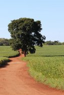 Mato Grosso do Sul / Pxfuel