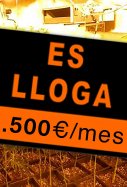 Lloguer mariguana