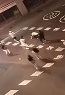 Baralla Multitudinària Bordeta Barcelona