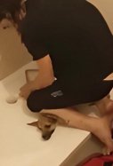 home vei lleida maltracta gossos video viral