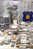 Laboratorio canabis Badalona / Mossos d'Esquadra