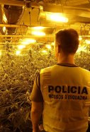 masia patrimoni arquitectonic plantacio marihuana fogars selva
