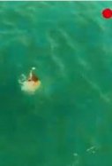 dron rescata jove 19 anys platja santa pola alacant