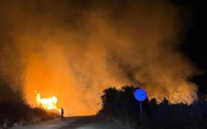 Incendi Llobregat / Mossos d'Esquadra i Agents Rurals