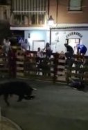 navalcarnero mor home envestit toro