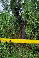 dos hermanas india violadas asesinadas