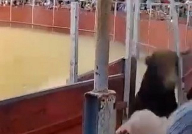 operari placa toros fuenlabrada mor cornejat toro