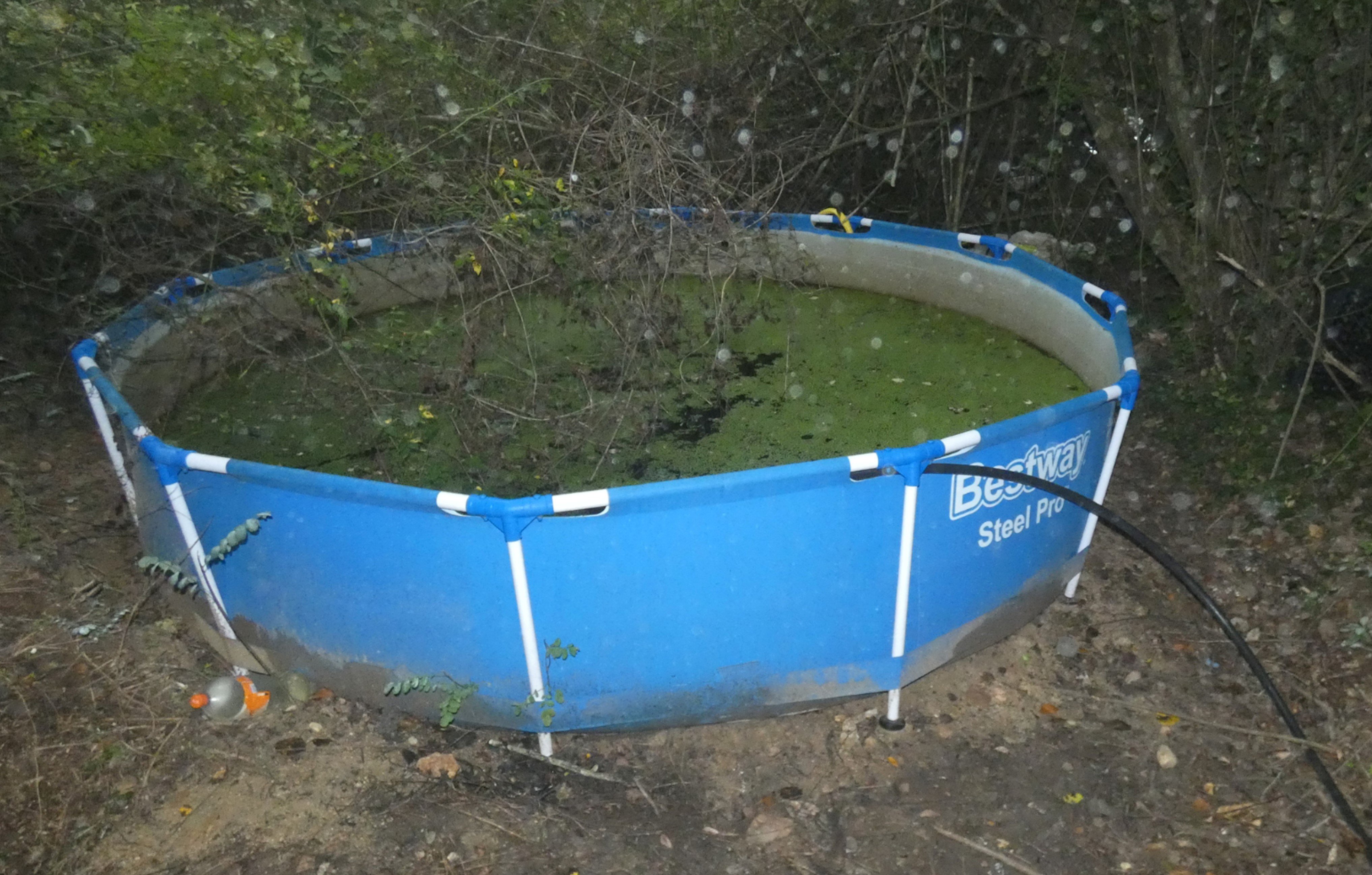 La piscina que hi havia al campament que havien muntat els detinguts al bosc de Vidreres, i que els servia per regar la plantació de marihuana amagada enmig del bosc / MOSSOS D'ESQUADRA