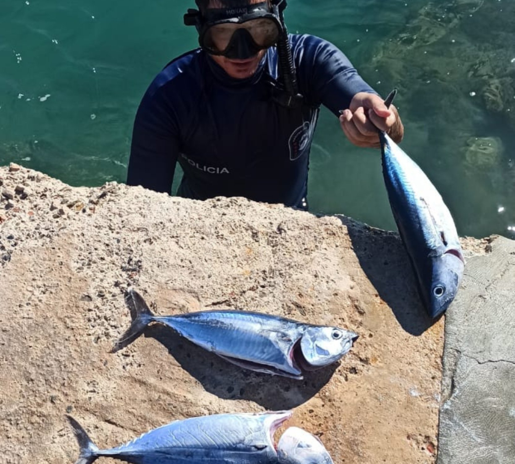 tonyina vermella pesca prohibida