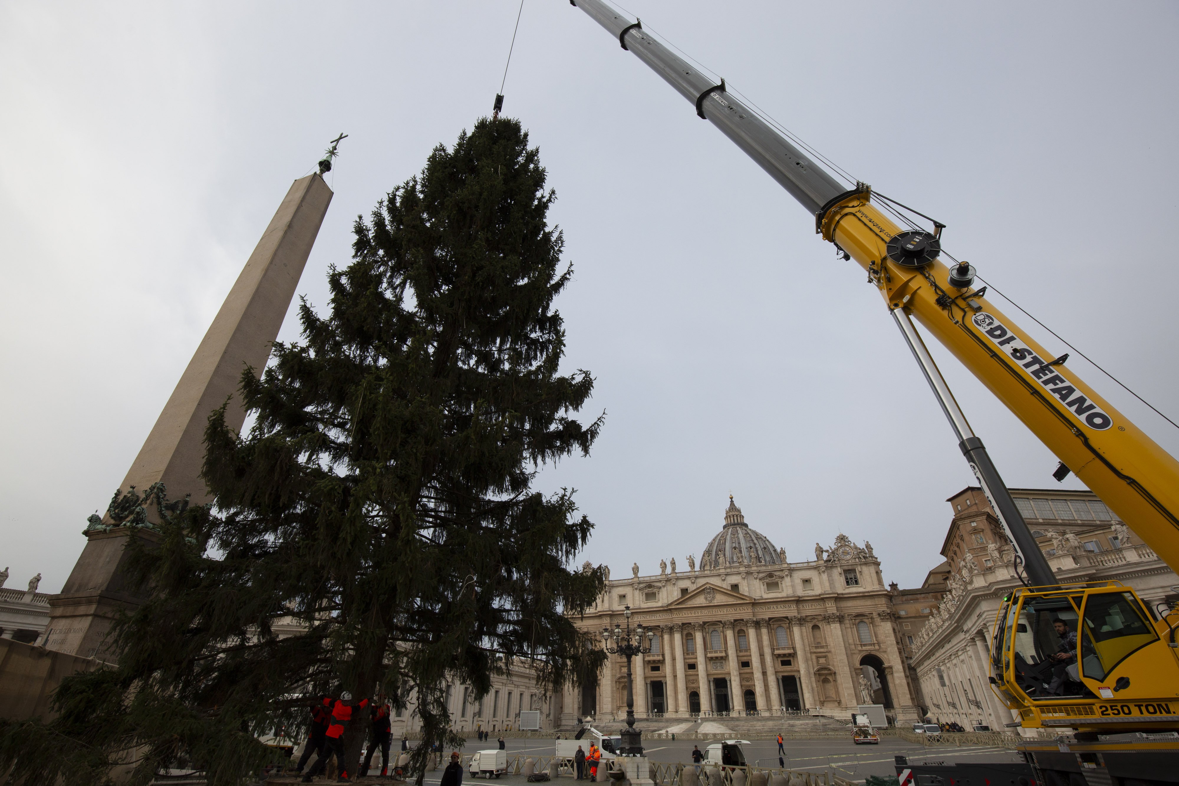 Avet instal·lat al Vaticà el 2021 / Stefano Costantino / SOPA Images v / DPA 