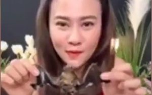 Fotograma del vídeo on es veu a la 'influencer' menjant ratpenats