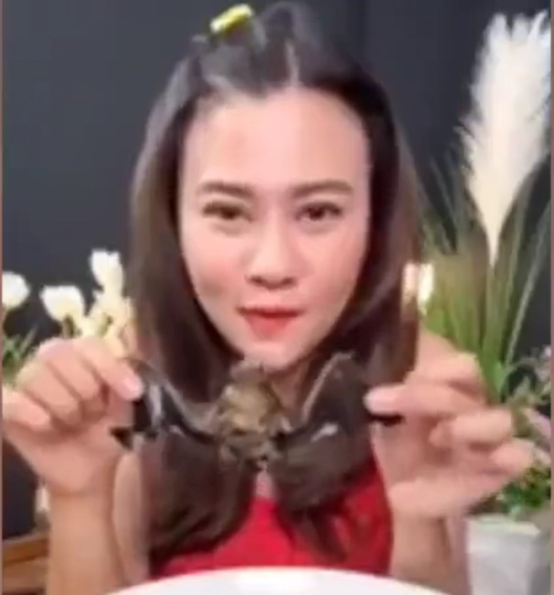 Fotograma del vídeo on es veu a la 'influencer' menjant ratpenats