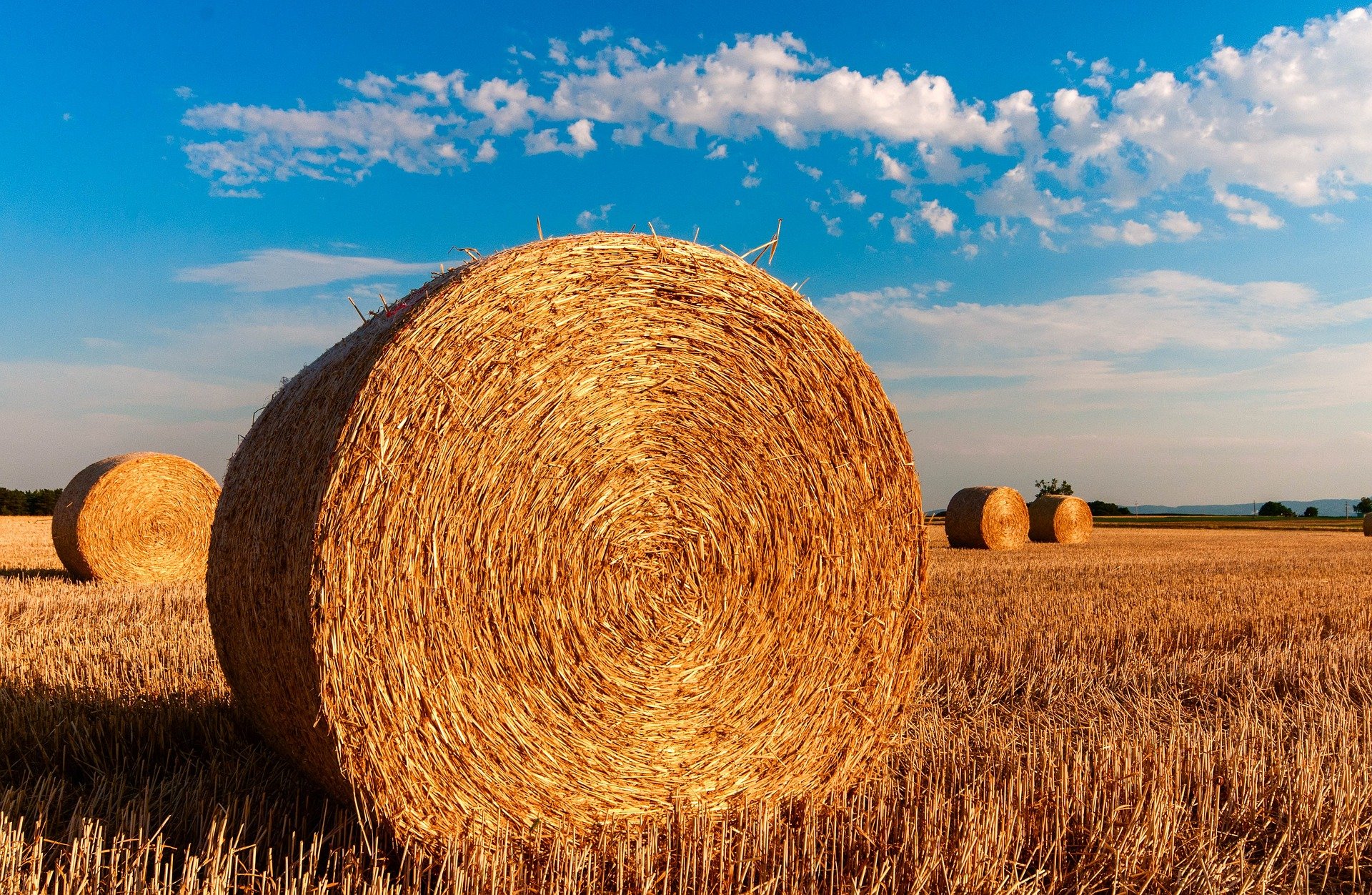 Unes bales de palla en una imatge d'arxiu / PIXABAY