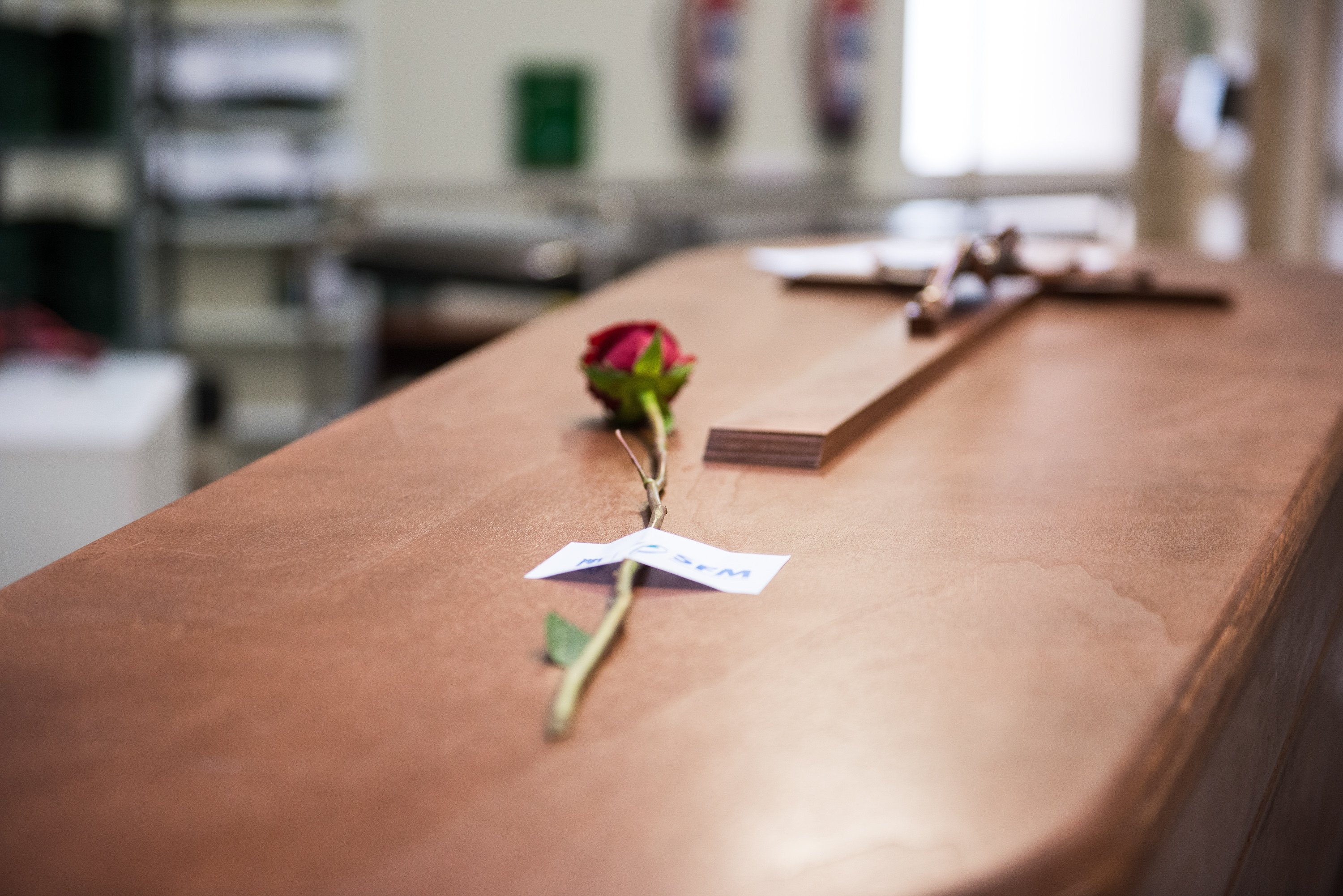 Detal d'una rosa en un taüt, en una imatge d'arxiu / Joaquin Corchero - Europa Press