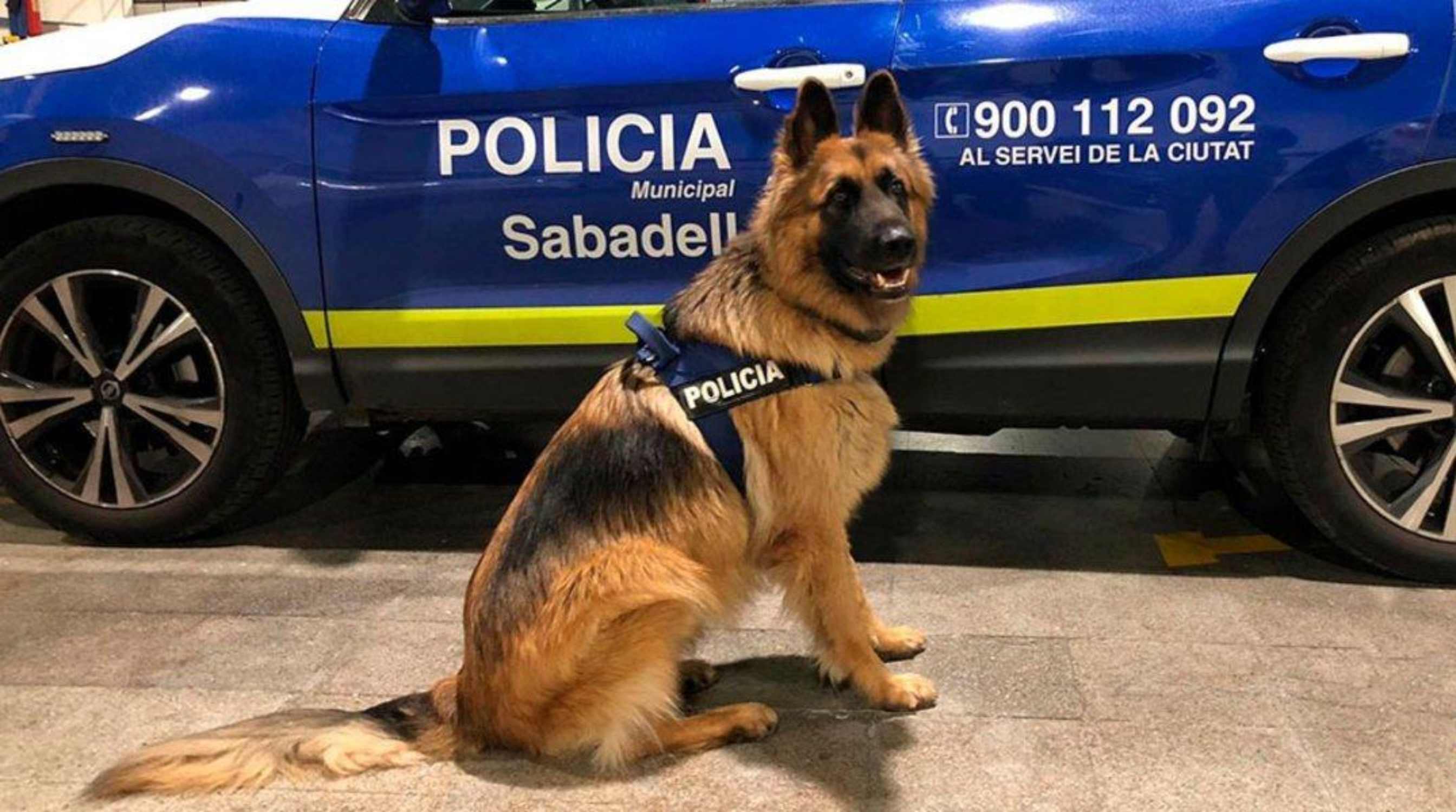 policia sabadell canina