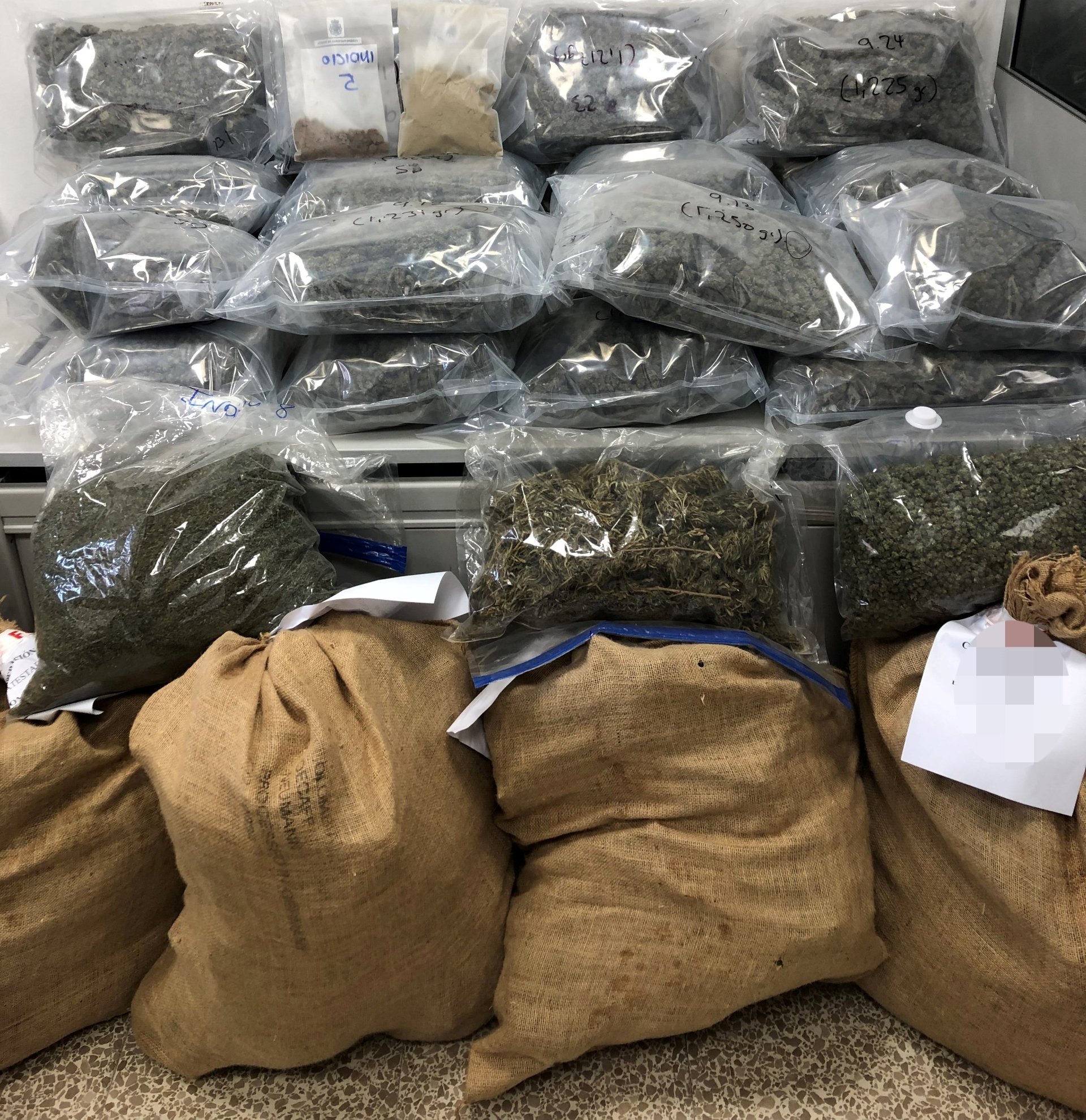 La marihuana confiscada per la policia