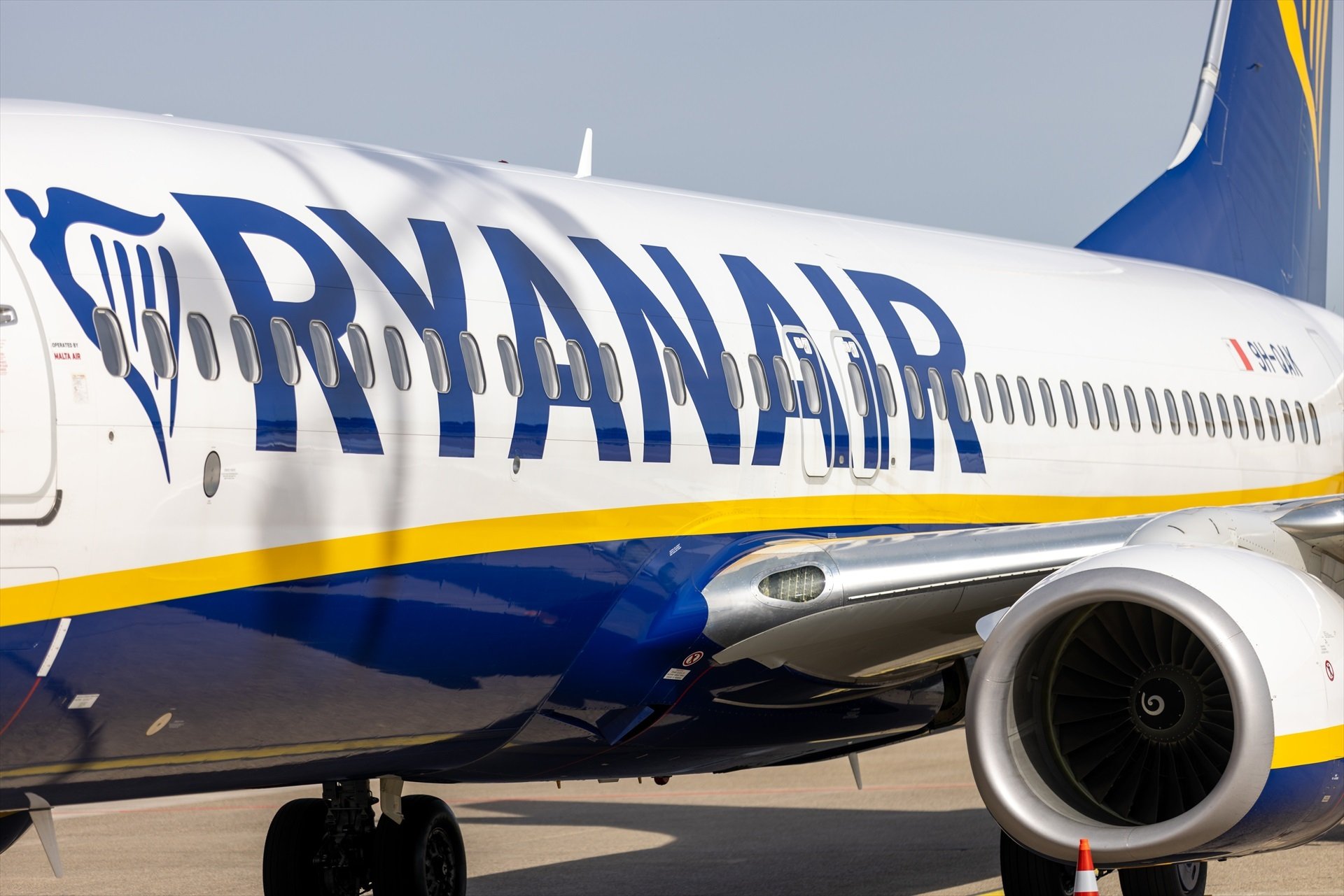 Un avió de Ryanair en un imatge d'arxiu / Daniel Karmann, dpa, EP