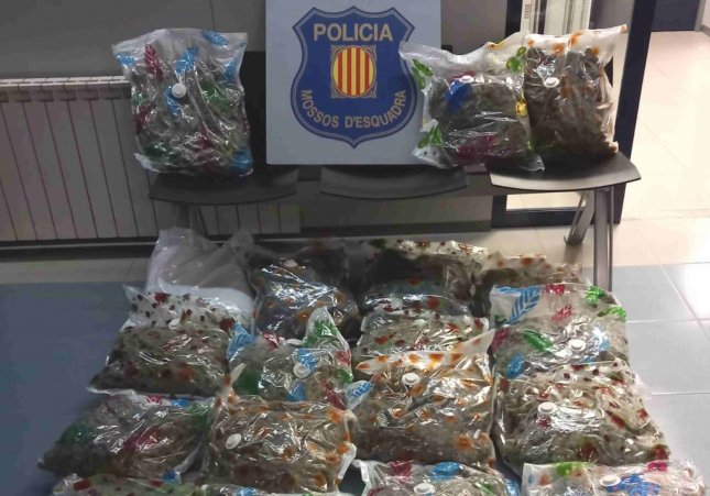 marihuana mossos