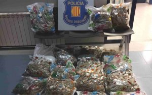 marihuana mossos