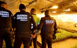 Detenció dels Mossos i la Guàrdia Urbana de Cornellà de Llobregat / CME