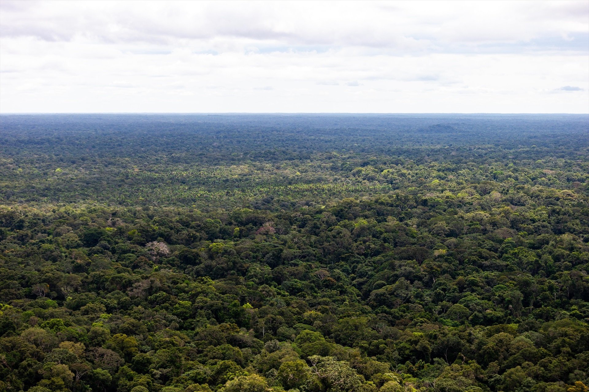 Amazonas en una imatge d'arxiu / Europa Press / Contacto / Paulo Lopes