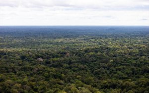 Amazonas en una imatge d'arxiu / Europa Press / Contacto / Paulo Lopes