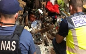 Policia Nacional i Agència Tributària intervenen les restes d'animals exòtics utilitzats per rituals de Santeria a Tenerife / CNP