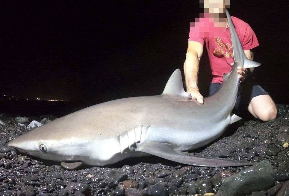 L'acusat amb un tauró capturat a Lanzarote / GUÀRDIA CIVIL