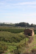 horta lleida acn
