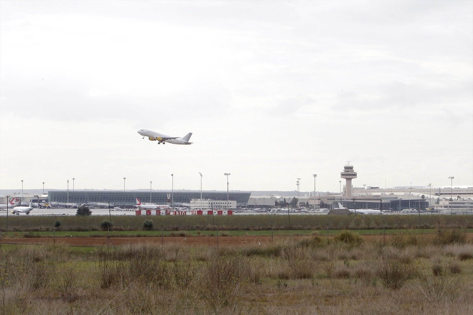 Un avió s'enlaira de l'aeroport de Palma (Mallorca) en una imatge d'arxiu / Isaac Buj, Europa Press