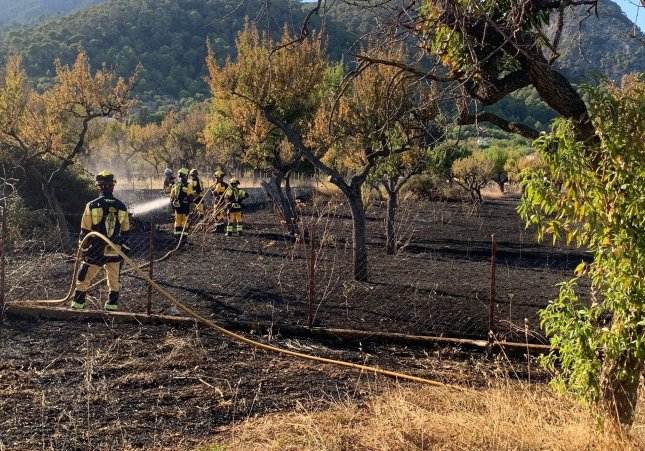 Bombers de Mallorca sofocant un incendi en una imatge d'arxiu / IBANAT