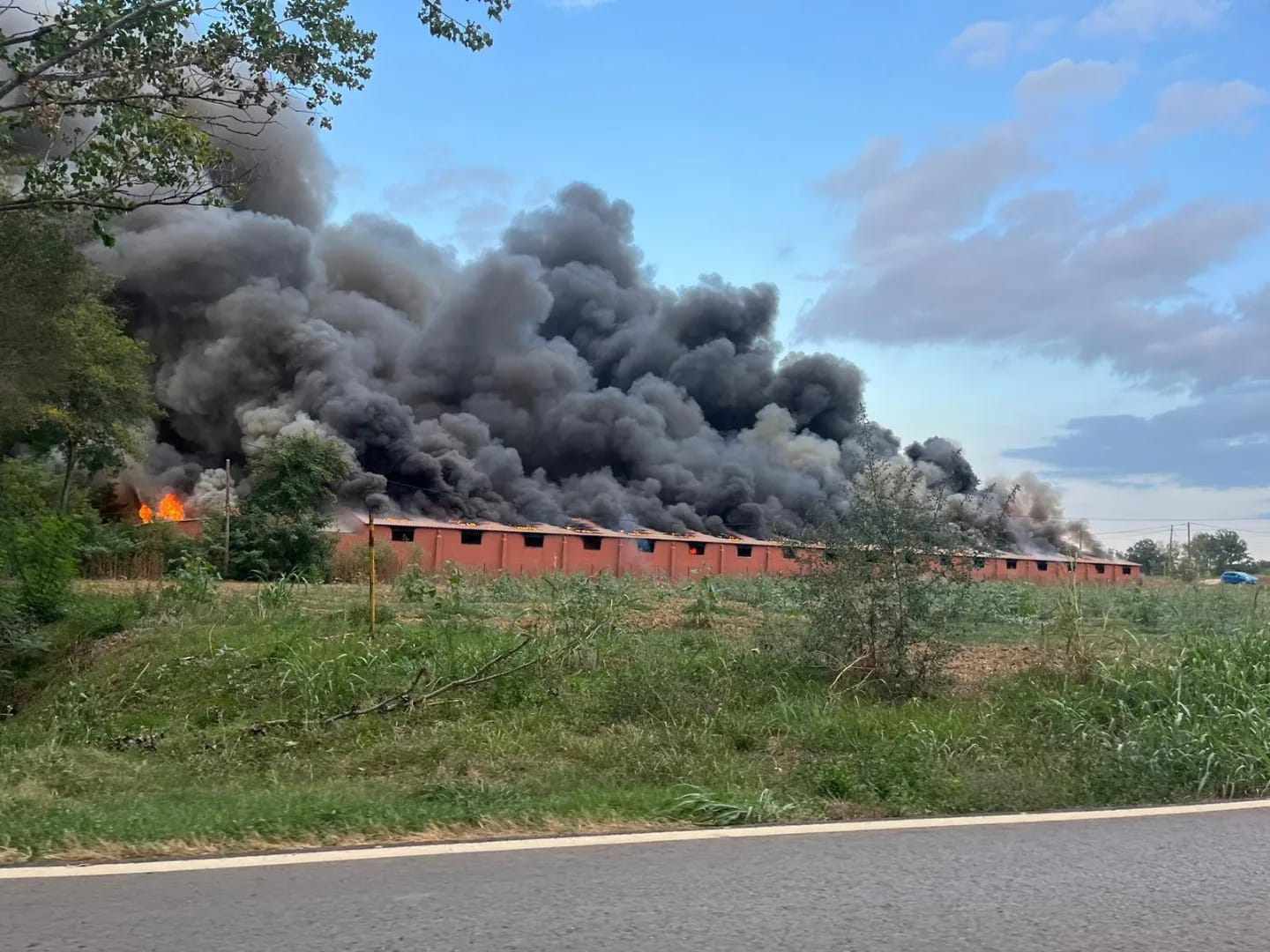 Incendi a la granja de porcs de Cornellà de Terri / CEDIDA