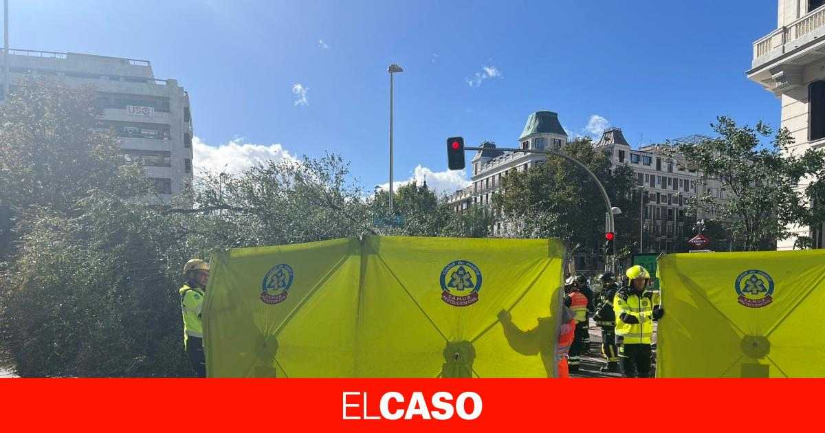 Muere una chica de años en el centro de Madrid al caerle un árbol encima por los fuertes