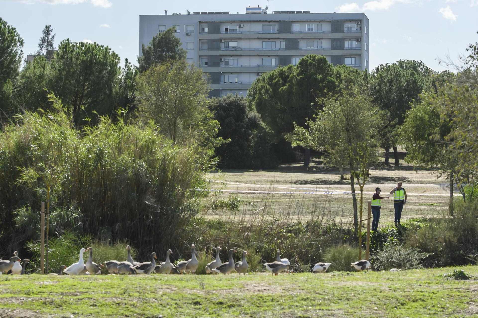 Agentes de la Policía Nacional cerca del lugar|sitio donde una persona que paseaba al lado de la Llacuna del Parque del Tamarguillo de Sevilla ha encontrado este lunes flotante en el agua el cadáver de una persona, cuya identidad todavía no se sabe, en avanzado estado de descomposición / Raúl Caro - EFE Agentes de la Policía Nacional cerca del lugar|sitio donde una persona que paseaba al lado de la Llacuna del Parque del Tamarguillo de Sevilla ha encontrado este lunes flotante en el agua el cadáver de una persona, cuya identidad todavía no se sabe, en avanzado estado de descomposición / Raúl Caro - EFE