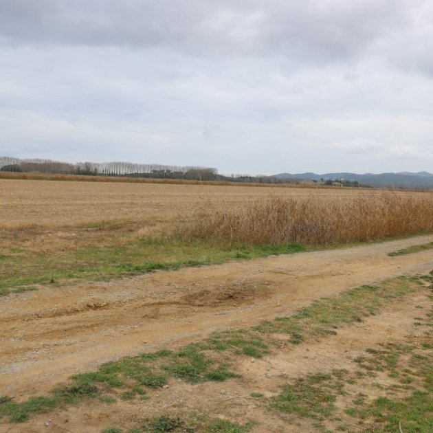 La zona de campos y el camino secondari donde se encontró el vehículo de la víctima / ACN