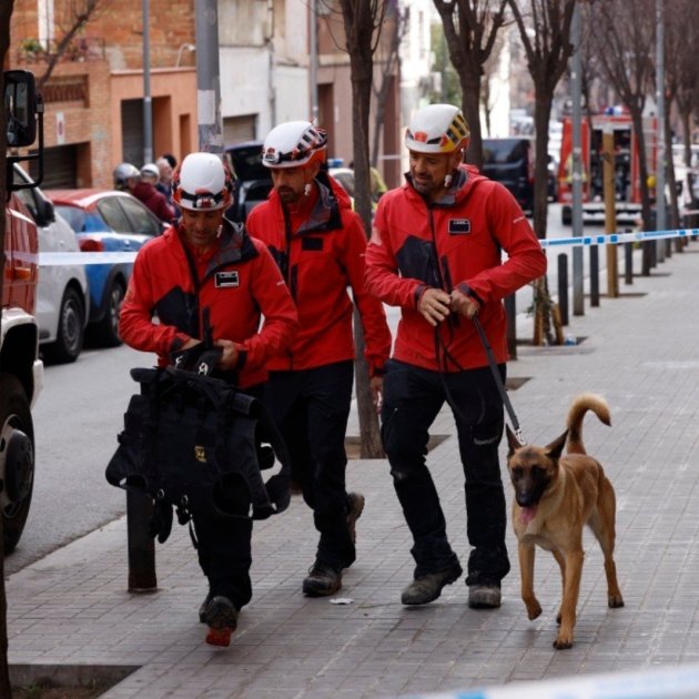 Els efectius del Grup Caní de Recerca dels Bombers estan participant en la cerca de possibles víctimes | Carlos Baglietto. 