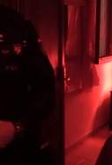 Explotación sexual Palma detenidos CNP