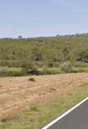 Avinyonet del Penedès Google Street View