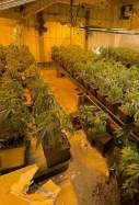 marihuana figueres