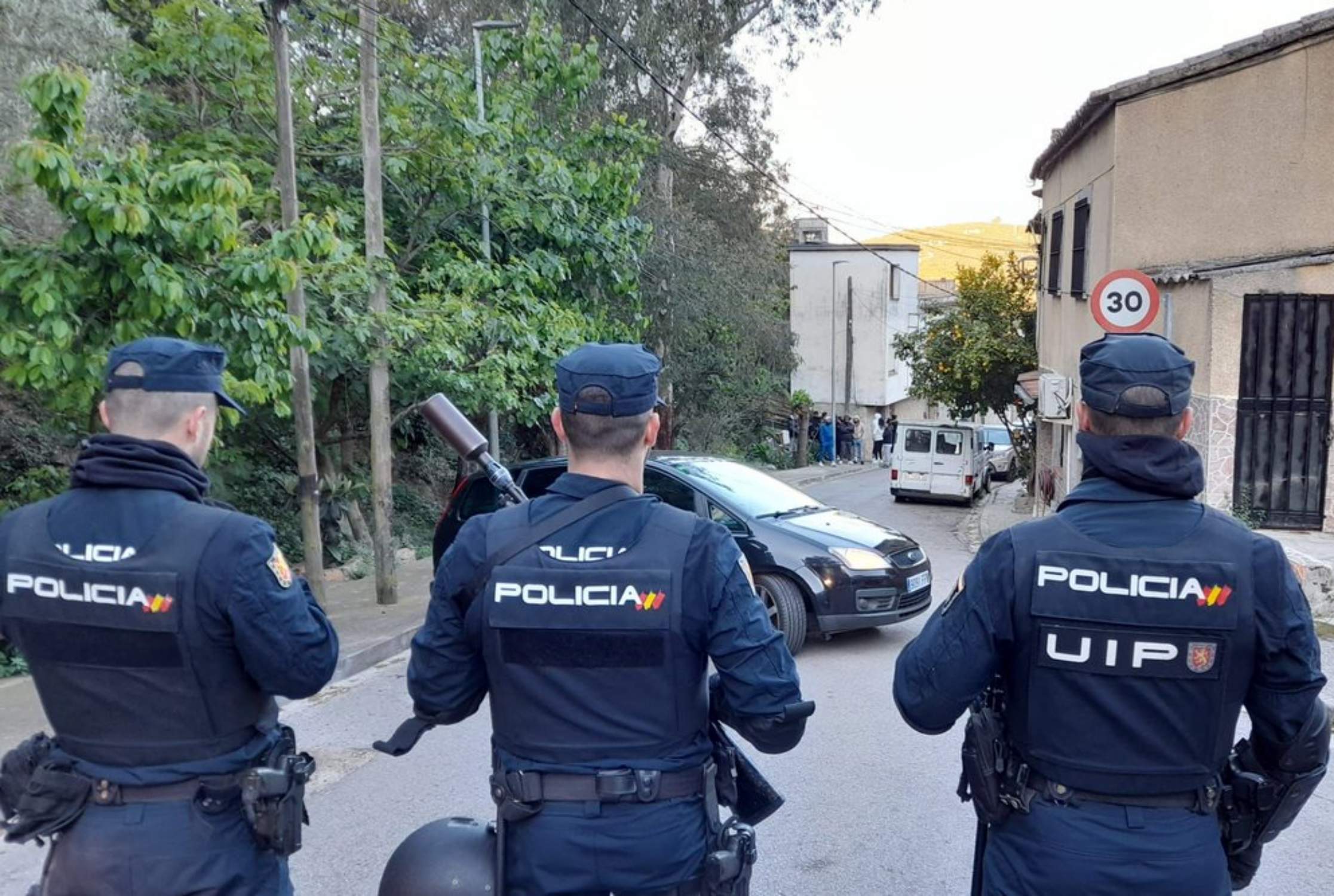 Important cop policial contra les plantacions de marihuana de Catalunya que serveixen per abastir Europa