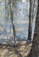 incendi baronia de rialb