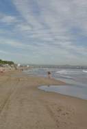 Platja pineda vila seca