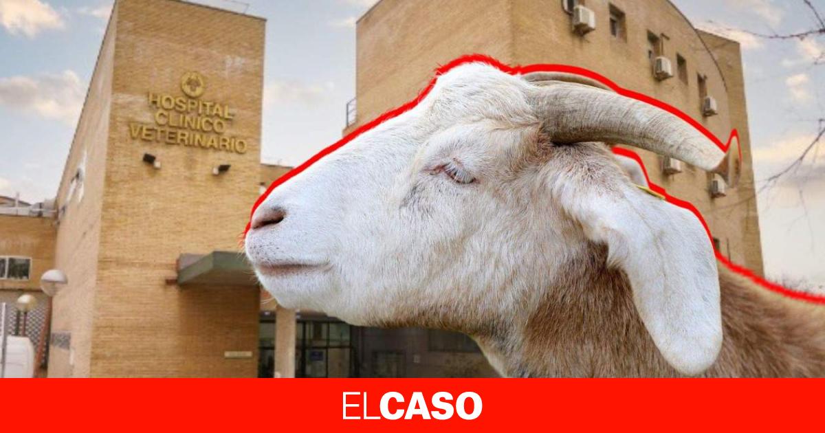 elcaso.elnacional.cat