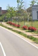 Vilanant accident Google Street View