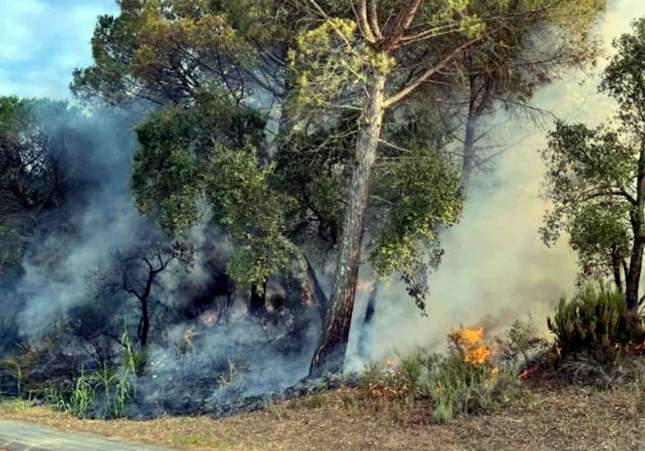 incendi santa cristina aro