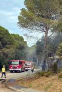 incendi forestal santa cristina aro