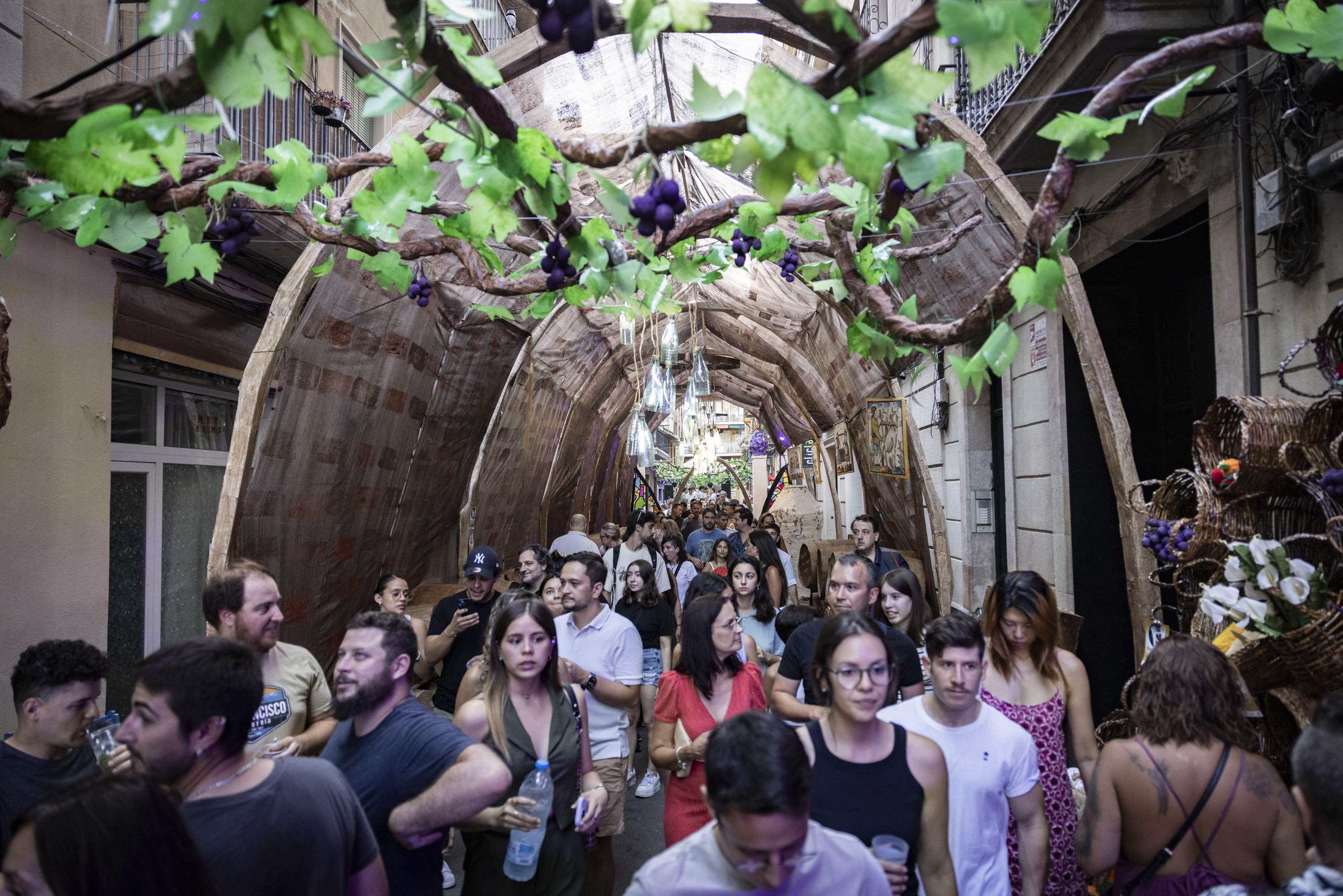 Festes de Gràcia 202413